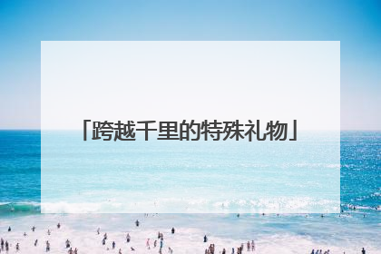 跨越千里的特殊礼物