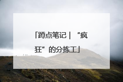 蹲点笔记｜“疯狂”的分拣工