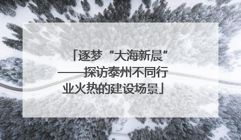 逐梦“大海新晨”——探访泰州不同行业火热的建设场景