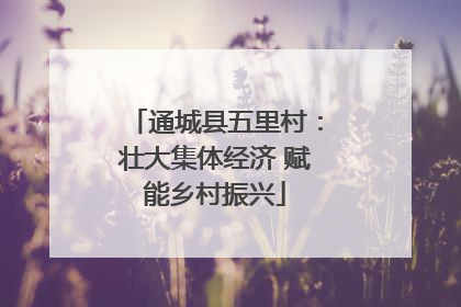 通城县五里村：壮大集体经济 赋能乡村振兴