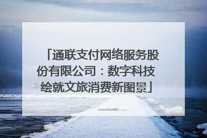 通联支付网络服务股份有限公司：数字科技绘就文旅消费新图景