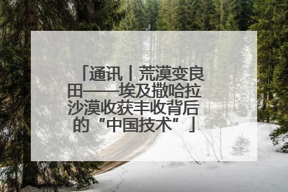 通讯丨荒漠变良田——埃及撒哈拉沙漠收获丰收背后的“中国技术”