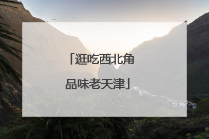 逛吃西北角 品味老天津