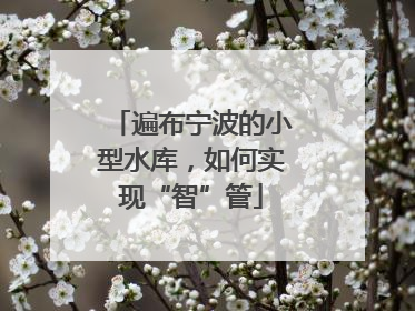 遍布宁波的小型水库，如何实现“智”管
