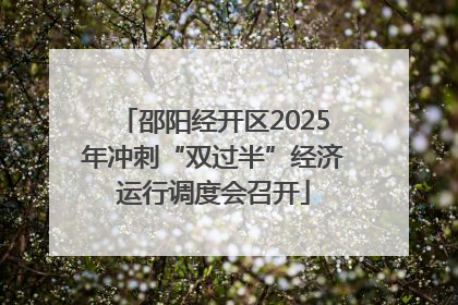 邵阳经开区2025年冲刺“双过半”经济运行调度会召开
