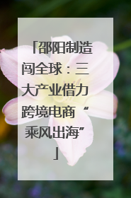 邵阳制造闯全球：三大产业借力跨境电商“乘风出海”