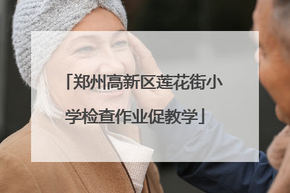 郑州高新区莲花街小学检查作业促教学