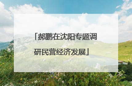 郝鹏在沈阳专题调研民营经济发展