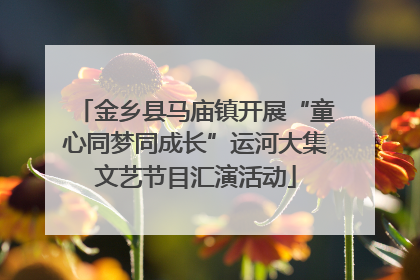 金乡县马庙镇开展“童心同梦同成长”运河大集文艺节目汇演活动
