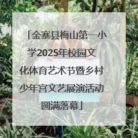 金寨县梅山第一小学2025年校园文化体育艺术节暨乡村少年宫文艺展演活动圆满落幕