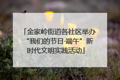 金家岭街道各社区举办“我们的节日·端午”新时代文明实践活动