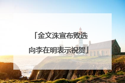金文洙宣布败选 向李在明表示祝贺