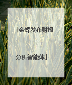 金蝶发布财报分析智能体