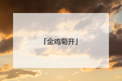 金鸡菊开
