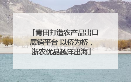 青田打造农产品出口展销平台 以侨为桥，浙农优品越洋出海