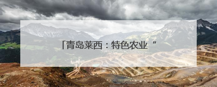 青岛莱西：特色农业“链”动乡村振兴新图景