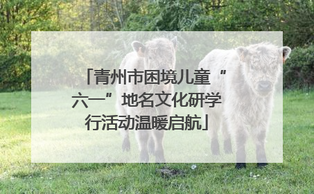 青州市困境儿童“六一”地名文化研学行活动温暖启航