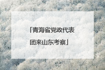 青海省党政代表团来山东考察