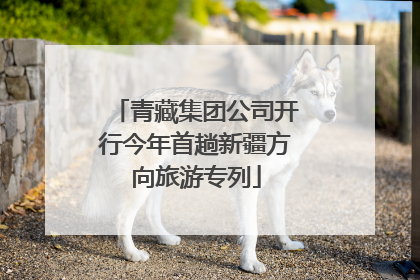 青藏集团公司开行今年首趟新疆方向旅游专列