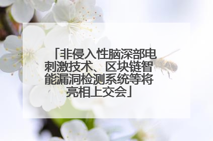 非侵入性脑深部电刺激技术、区块链智能漏洞检测系统等将亮相上交会