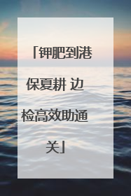 钾肥到港保夏耕 边检高效助通关