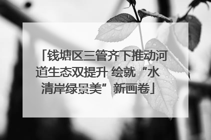 钱塘区三管齐下推动河道生态双提升 绘就“水清岸绿景美”新画卷