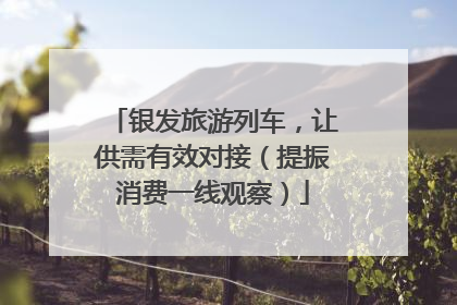 银发旅游列车，让供需有效对接（提振消费一线观察）