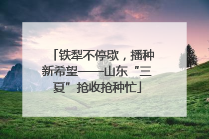 铁犁不停歇，播种新希望——山东“三夏”抢收抢种忙