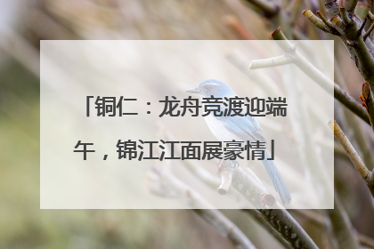 铜仁：龙舟竞渡迎端午，锦江江面展豪情