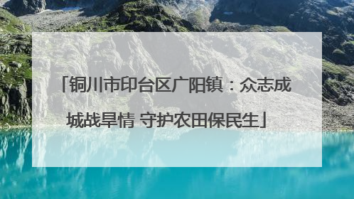 铜川市印台区广阳镇：众志成城战旱情 守护农田保民生
