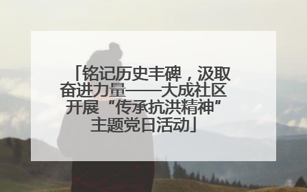 铭记历史丰碑，汲取奋进力量——大成社区开展“传承抗洪精神”主题党日活动