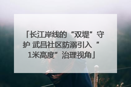 长江岸线的“双堤”守护 武昌社区防溺引入“1米高度”治理视角
