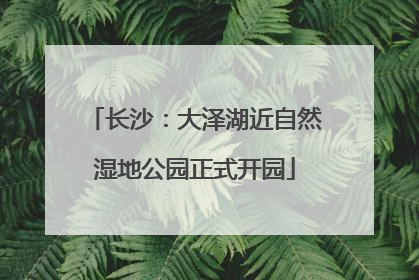 长沙：大泽湖近自然湿地公园正式开园