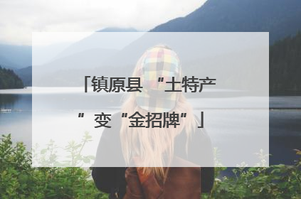 镇原县 “土特产”变“金招牌”