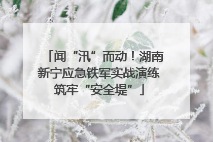 闻“汛”而动！湖南新宁应急铁军实战演练筑牢“安全堤”