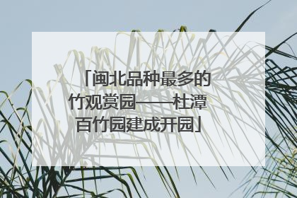 闽北品种最多的竹观赏园——杜潭百竹园建成开园