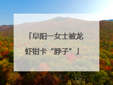 阜阳一女士被龙虾钳卡“脖子”