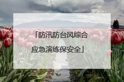 防汛防台风综合应急演练保安全