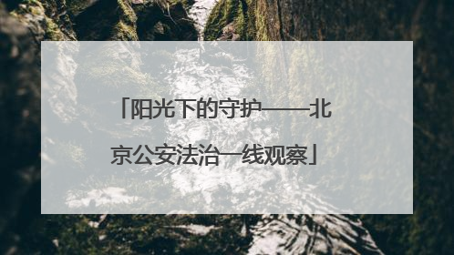 阳光下的守护——北京公安法治一线观察