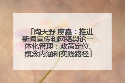 陶天野 虞鑫：推进新闻宣传和网络舆论一体化管理：政策定位、概念内涵和实践路径