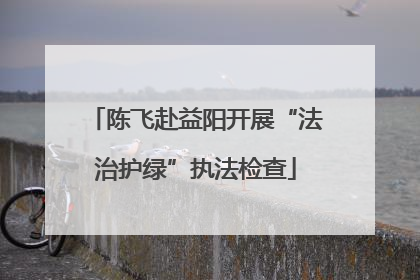 陈飞赴益阳开展“法治护绿”执法检查