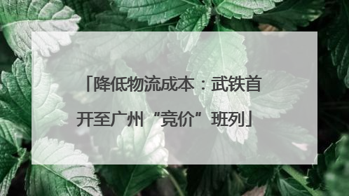 降低物流成本：武铁首开至广州“竞价”班列