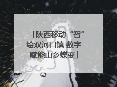 陕西移动“智”绘双河口镇 数字赋能山乡蝶变