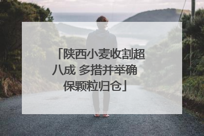 陕西小麦收割超八成 多措并举确保颗粒归仓