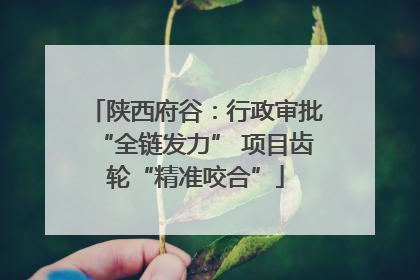 陕西府谷：行政审批“全链发力” 项目齿轮“精准咬合”