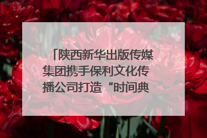 陕西新华出版传媒集团携手保利文化传播公司打造“时间典藏”数字艺术馆
