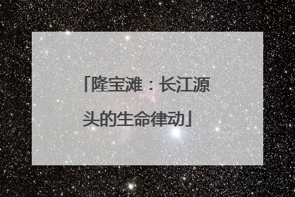 隆宝滩：长江源头的生命律动