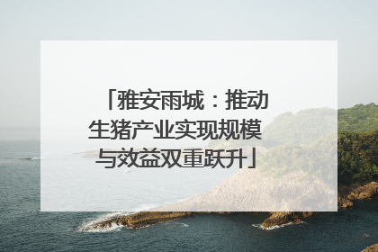 雅安雨城：推动生猪产业实现规模与效益双重跃升