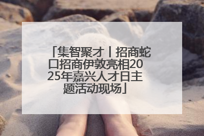 集智聚才丨招商蛇口招商伊敦亮相2025年嘉兴人才日主题活动现场