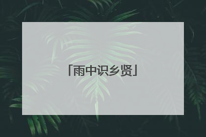 雨中识乡贤
